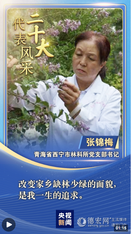 【二十大代表风采】张锦梅：扎根高原三十载 只为满城花香来