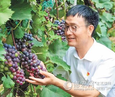 【二十大代表风采】裴春亮：推动产业发展 带动村民增收