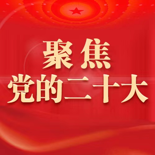 中国共产党第二十次全国代表大会关于十九届中央委员会报告的决议