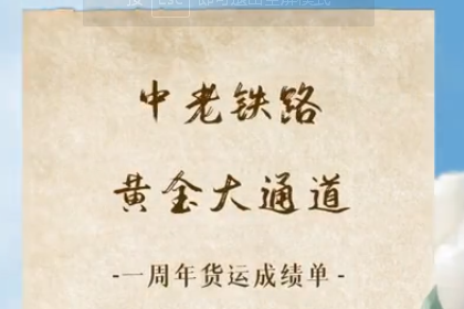 【中老铁路这一年】这份货物运成单亮眼！