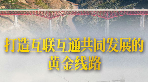 打造互联互通共同发展的黄金线路——中老铁路实现客货运输量质齐升