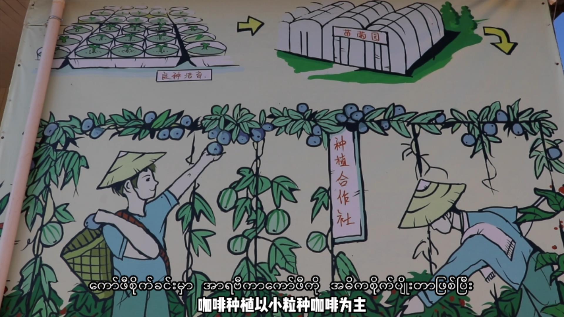 《胞波带你逛中国》第十八集|走进振兴中的美丽乡村