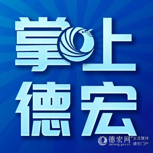 瑞丽市政企“周周见”助企纾困——  搭建政企沟通平台 全面推进复工复产