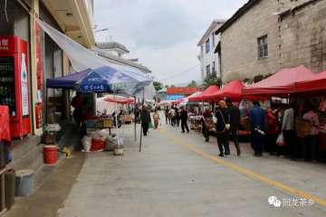 大厂村：规范运作 提速振兴进程