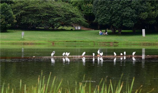 把总书记交办的事情办好丨原创手绘③玉溪：抢抓机遇 提质升级