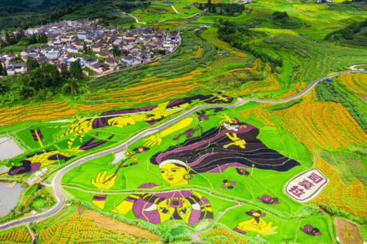 把总书记交办的事情办好丨原创手绘④保山：稳中求进 续写新篇