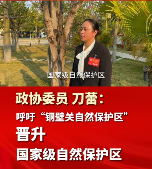 两会声音 | 政协委员 刀蕾：“铜壁关自然保护区”晋升国家自然保护区