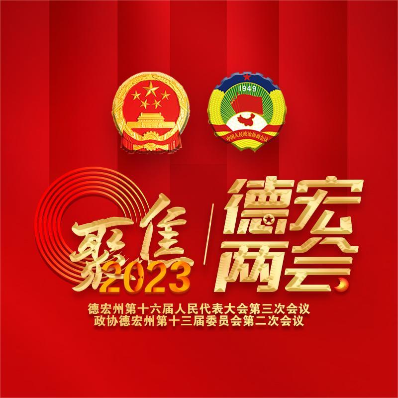 姜山参加陇川代表团审议时强调：全力以赴抓发展 齐心协力拼经济 谱写陇川高质量跨越式发展新篇章