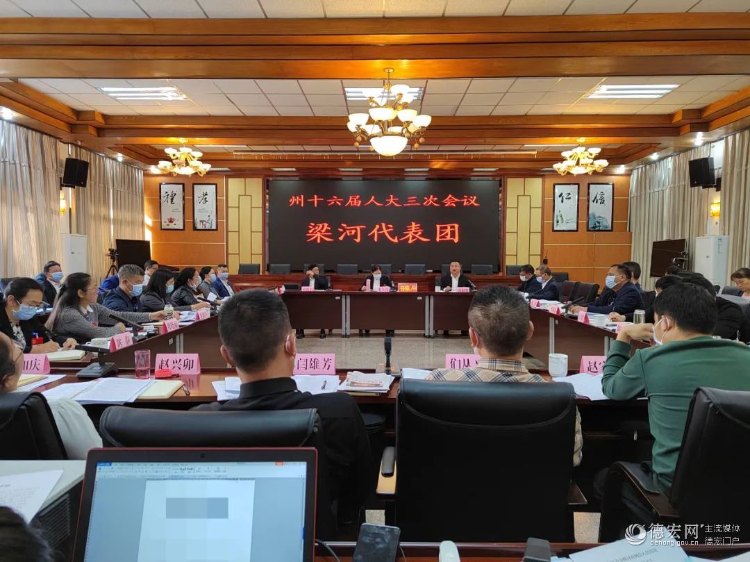 人大代表审议常委会和“两院”工作报告