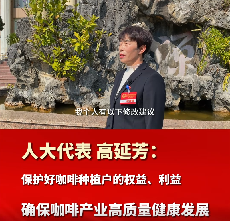  两会声音 | 人大代表高廷芳：保护好咖啡种植户的权益利益 确保咖啡产业高质量健康发展
