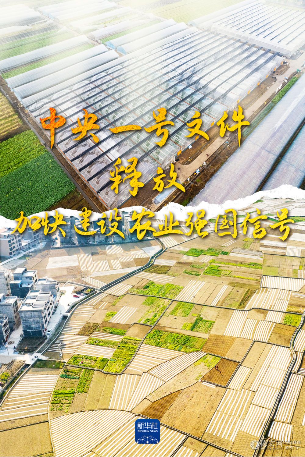 权威部门话开局 | 中央一号文件释放加快建设农业强国信号