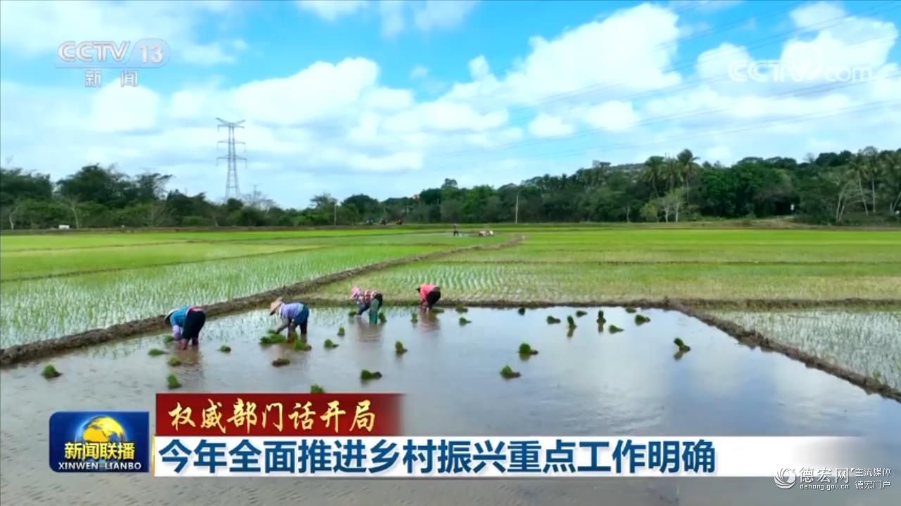 权威部门话开局 | 今年全面推进乡村振兴重点工作明确