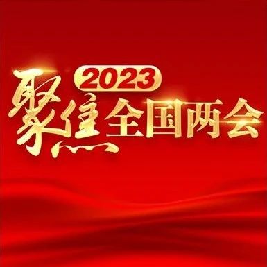 “放下包袱，大胆发展”（两会现场观察）