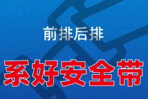 前排后排 系好安全带