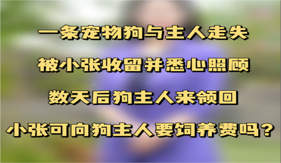 收留走失的宠物狗能索要饲养费吗？