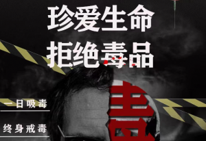 珍爱生命 拒绝毒品（1）