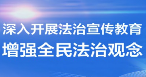 仿真枪知识资料