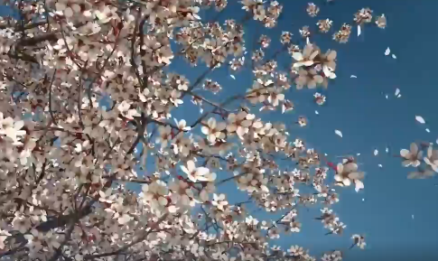 我们记得，他们就活着！清明，给英烈写句话