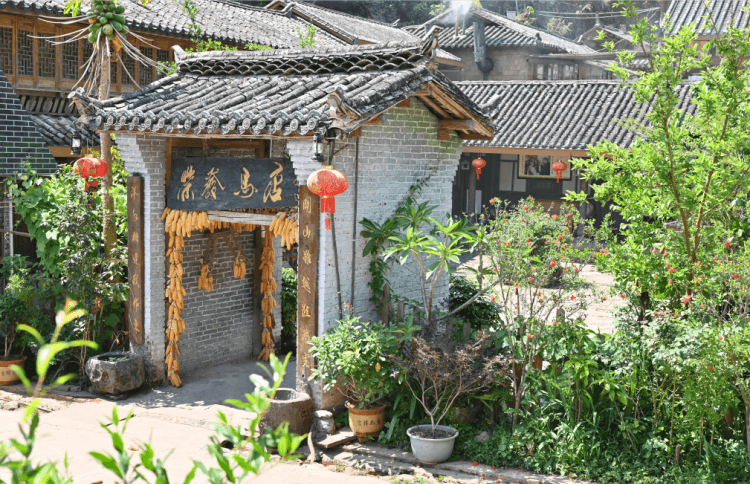 有一种叫云南的生活｜云南普洱是什么颜色？