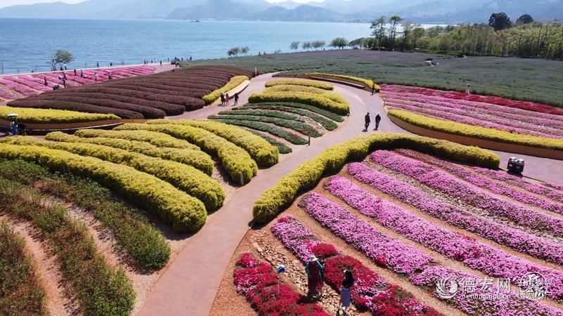花海之间 首场发布——“有一种叫云南的生活”究竟是怎样的生活？他们在澄江告诉你……