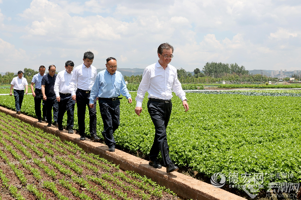 王宁在督导杞麓湖保护治理时强调：结合主题教育解决存在问题 推进杞麓湖保护治理取得实效