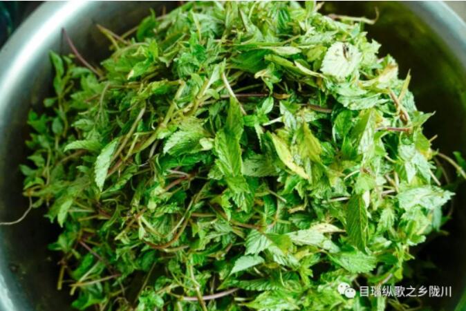 陇川的绿色草粉，谁还没尝过呀？