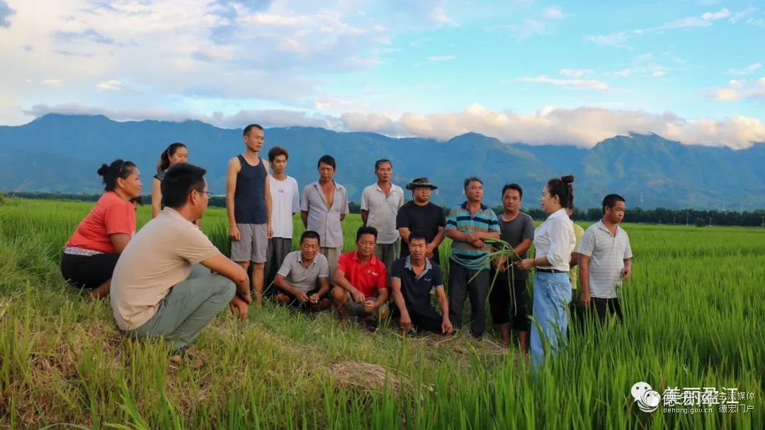 乡村振兴丨新城乡：打好乡土人才“三张牌” 激发乡村振兴新活力