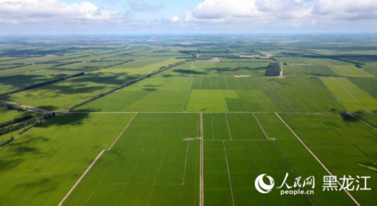 跟着总书记看中国｜仓廪实、科技兴 北大荒农业现代化大步向前