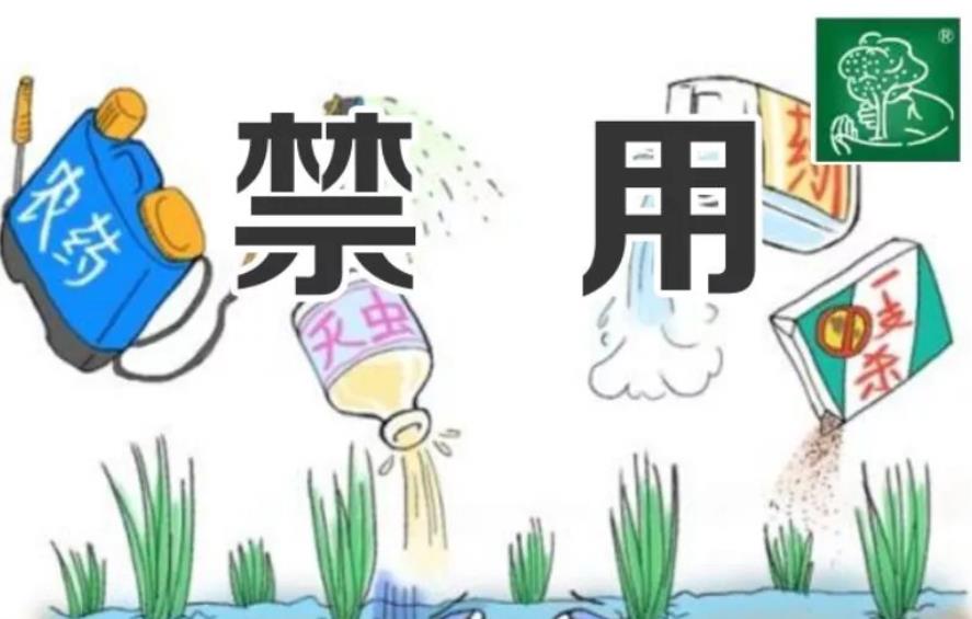 ye:-cy no: C: kw nA Fi; rE: sD