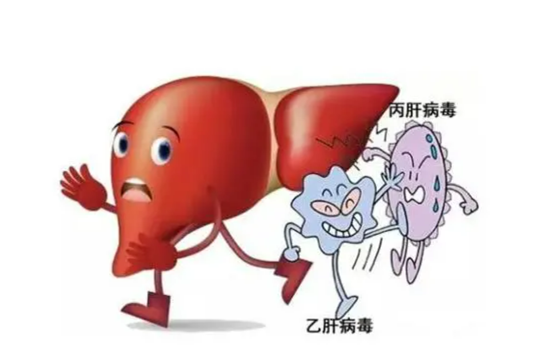 关于丙肝，这里“肝”货满满！