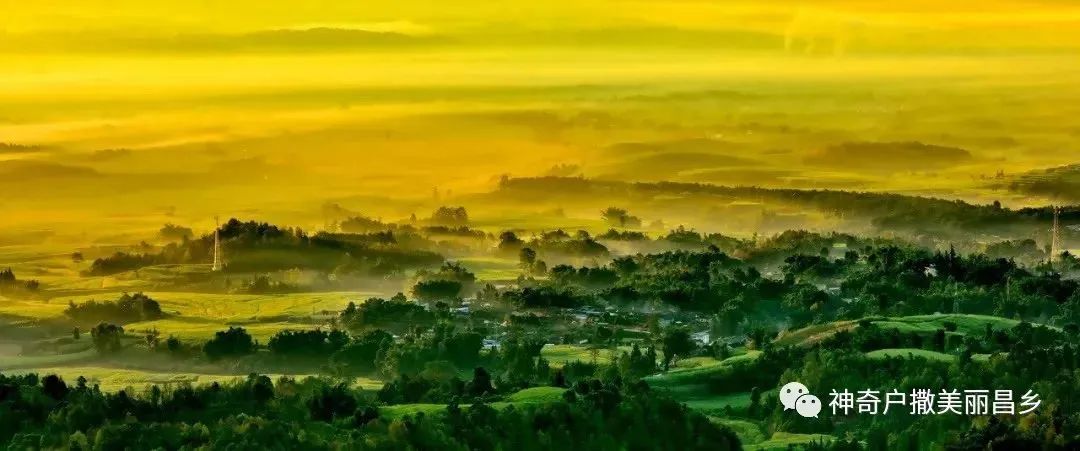 党建引领基层治理  共绘民族团结“同心圆”